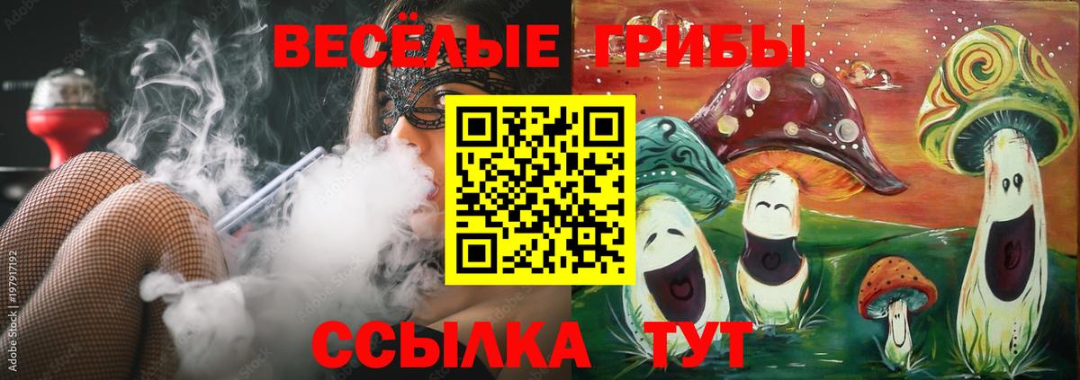 Псилоцибиновые грибы Psilocybe Оренбург